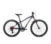 Orbea MX 24 Dirt