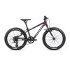 Orbea MX20 dirt